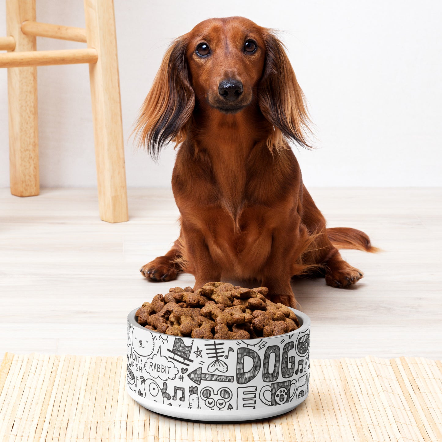 Pet bowl