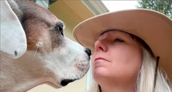 For the Love of Deaf Dogs - 4Legz