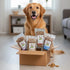 Doggy Box- with 4 pack of 1 lbs Bags Treats! - Want Monthly? FREE SHIPPING! 4Legz