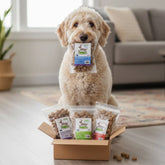 Doggy Box- with 4 pack of 1 lbs Bags Treats! - Want Monthly? FREE SHIPPING! 4Legz