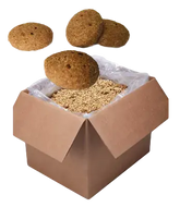 Blueberry Pancake Bulk Sizes for Delicious Breakfast Treats - 4Legz