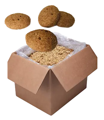 Blueberry Pancake Bulk Sizes for Delicious Breakfast Treats - 4Legz