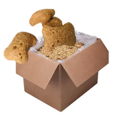 Cranberry Apple Dog Treats Bulk for Healthy and Happy Pets - 4Legz