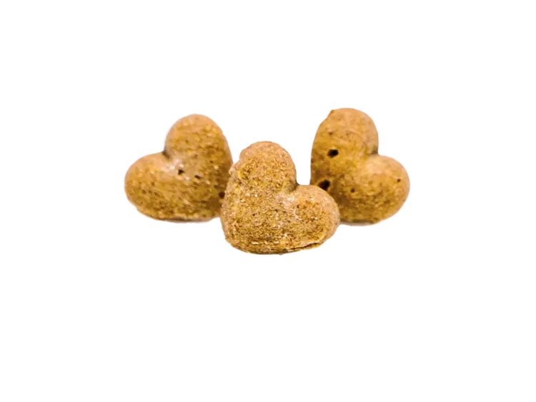 Sweet Potato Dog Treats - Healthy and Delicious Canine Snack - 4Legz